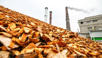 biomassa de resíduos orgânicos