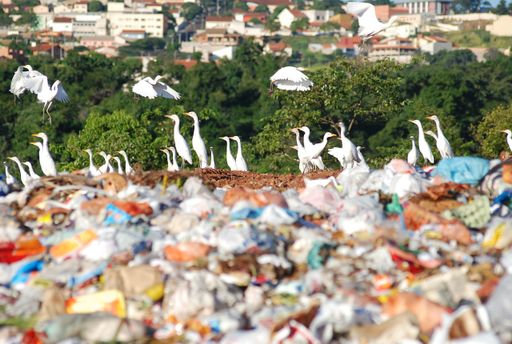 Marco do Saneamento Básico: o que muda no descarte de resíduos?
