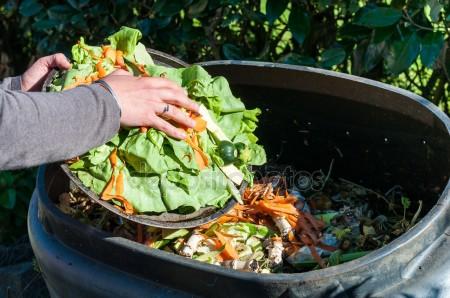 Como destinar e tratar efluentes e resíduos orgânicos da indústria alimentícia?