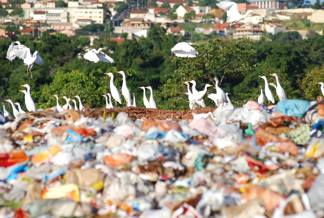 Qual a realidade do descarte de lixo nas cidades brasileiras?
