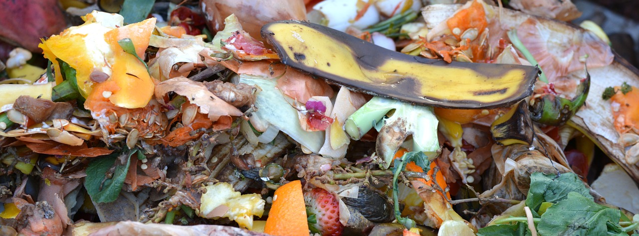resíduos de alimentos podem ser colocados na composteira