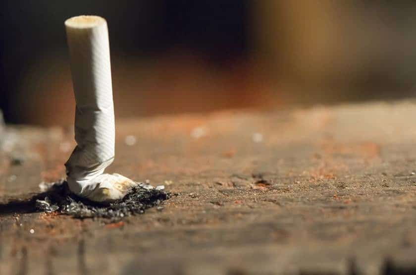 Como transformar bituca de cigarro em adubo e lucrar?